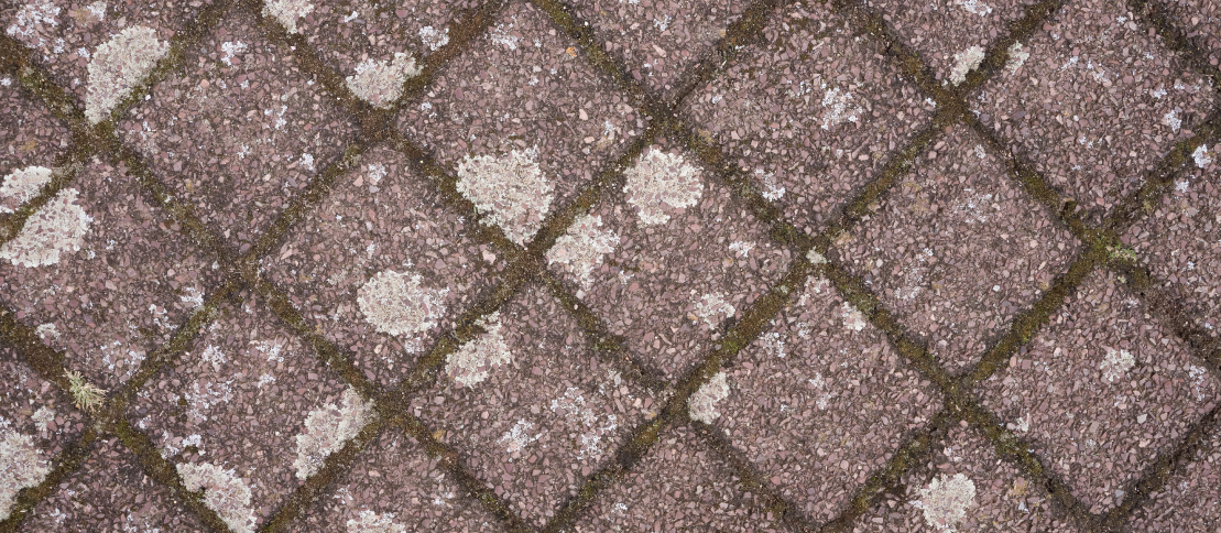 Old Pavement With Moss Texture 2023 11 27 05 35 10 Utc